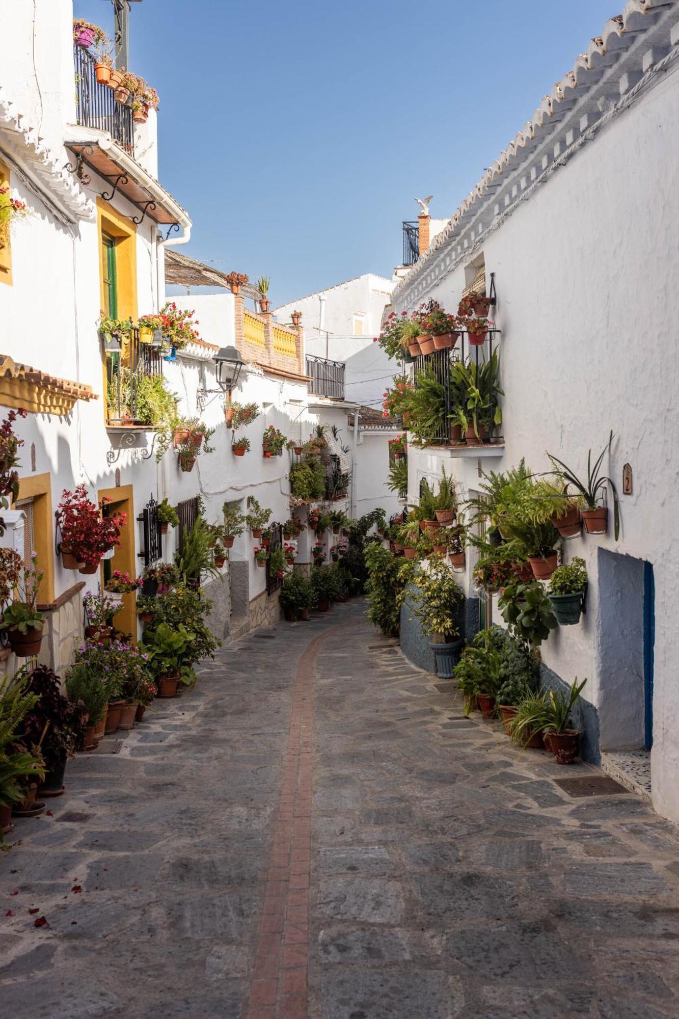 Olive & Ivy Guesthouse Canillas de Aceituno Luaran gambar