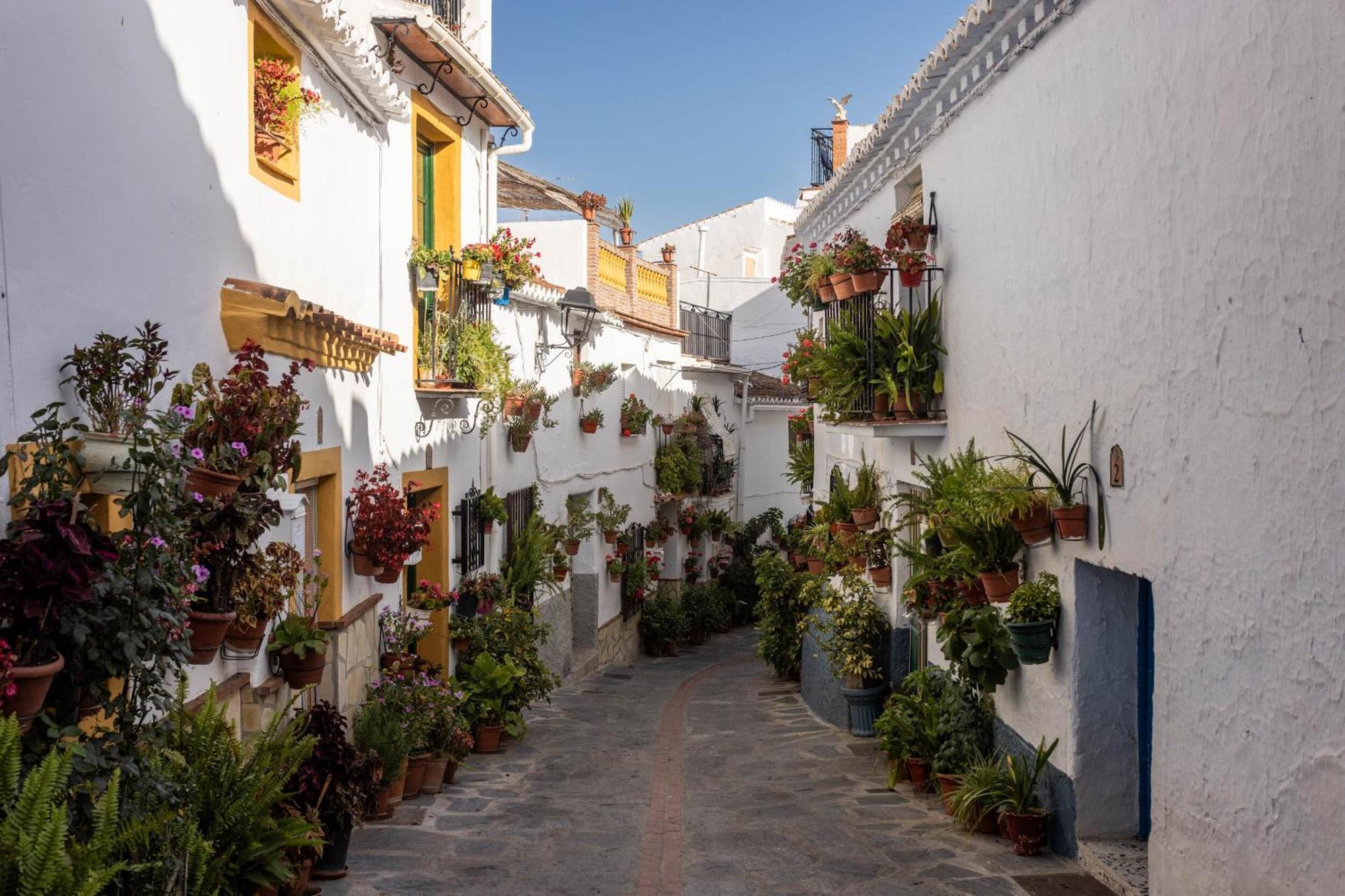 Olive & Ivy Guesthouse Canillas de Aceituno Luaran gambar