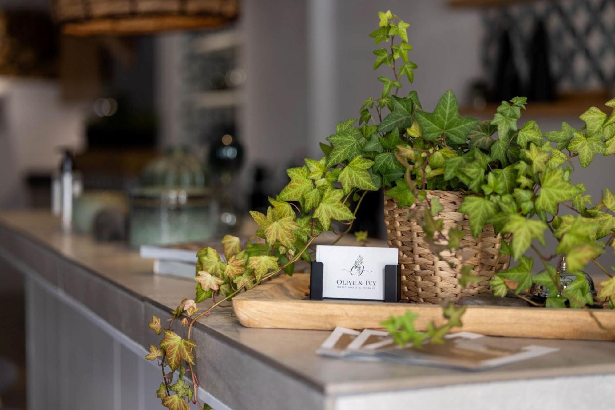 Olive & Ivy Guesthouse Canillas de Aceituno Luaran gambar